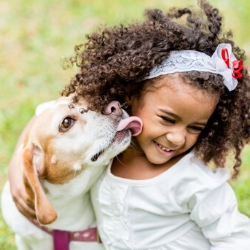 Girl playing with dog